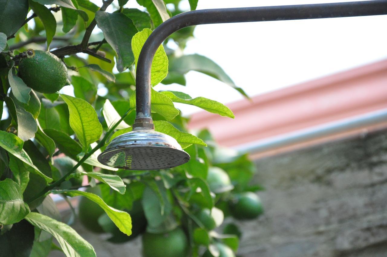 Lemon Garden Hostel Sevilla Exterior foto